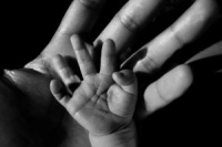 hands from baby and parent