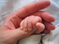 baby grasps hand of parent